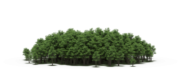 Beyaz arka planda izole edilmiş yeşil orman ağaçlarının 3D görüntüsü 