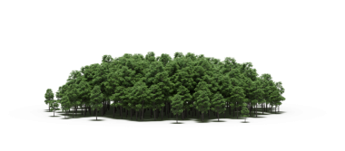 Beyaz arka planda izole edilmiş yeşil orman ağaçlarının 3D görüntüsü 