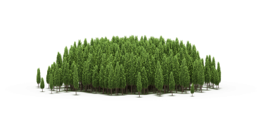 Beyaz arka planda izole edilmiş yeşil orman ağaçlarının 3D görüntüsü 