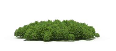 Beyaz arka planda izole edilmiş yeşil orman ağaçlarının 3D görüntüsü 