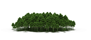 Beyaz arka planda izole edilmiş yeşil orman ağaçlarının 3D görüntüsü 