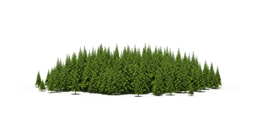 Beyaz arka planda izole edilmiş yeşil orman ağaçlarının 3D görüntüsü 