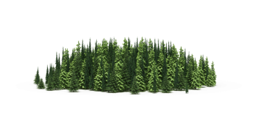 Beyaz arka planda izole edilmiş yeşil orman ağaçlarının 3D görüntüsü 