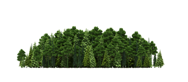 Beyaz arka planda izole edilmiş yeşil orman ağaçlarının 3D görüntüsü 