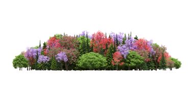 Beyaz arka planda izole edilmiş ağaçlar, ormandaki büyük ağaçlar, 3 boyutlu illüstrasyon, cg canlandırma