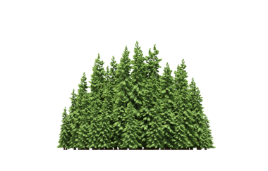 Beyaz arka planda izole edilmiş yeşil orman ağaçlarının 3D görüntüsü 