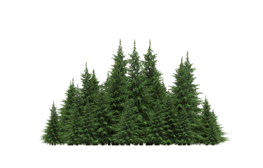 Beyaz arka planda izole edilmiş yeşil orman ağaçlarının 3D görüntüsü 