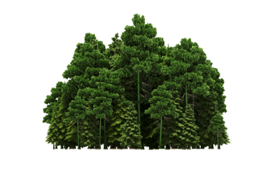 Beyaz arka planda izole edilmiş yeşil orman ağaçlarının 3D görüntüsü 