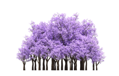 Beyaz arka planda izole edilmiş ağaçlar, ormandaki büyük ağaçlar, 3 boyutlu illüstrasyon, cg canlandırma