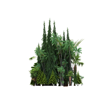 Beyaz arka planda izole edilmiş ağaçlar, ormandaki büyük ağaçlar, 3 boyutlu illüstrasyon, cg canlandırma