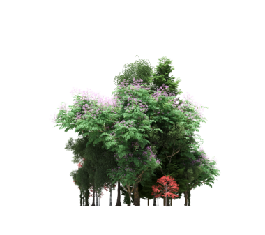 Beyaz arka planda izole edilmiş ağaçlar, ormandaki büyük ağaçlar, 3 boyutlu illüstrasyon, cg canlandırma