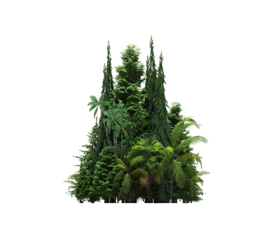 Beyaz arka planda izole edilmiş ağaçlar, ormandaki büyük ağaçlar, 3 boyutlu illüstrasyon, cg canlandırma