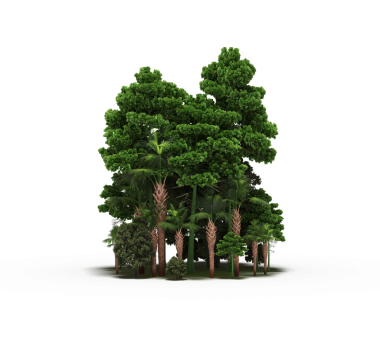 Beyaz arka planda izole edilmiş yeşil orman ağaçlarının 3D görüntüsü 