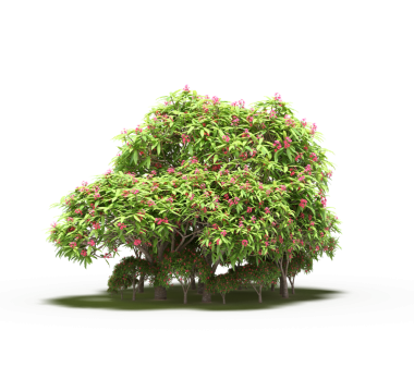 Beyaz arka planda izole edilmiş ağaçlar, ormandaki büyük ağaçlar, 3 boyutlu illüstrasyon, cg canlandırma