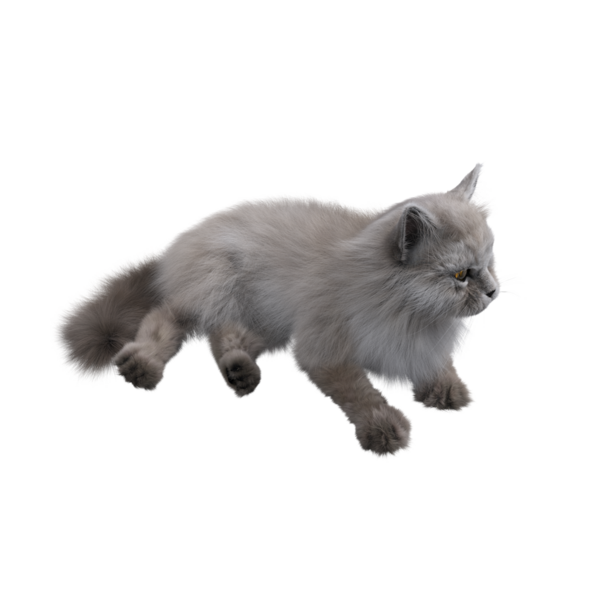 Beyaz arka planda izole edilmiş gri tüylü kedinin 3D görüntüsü.