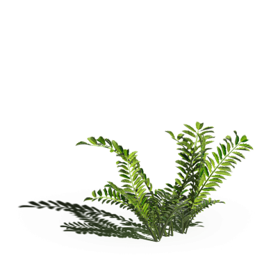 yaban otları, beyaz arkaplanda izole edilmiş, 3 boyutlu illüstrasyon, cg canlandırma