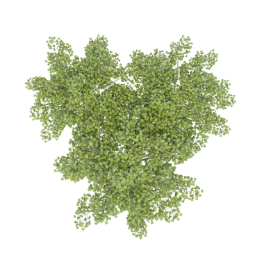 Beyaz arkaplanda izole edilmiş yeşil ağaç, üç boyutlu resimleme