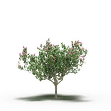 Beyaz arkaplanda izole edilmiş yeşil ağaç, üç boyutlu resimleme