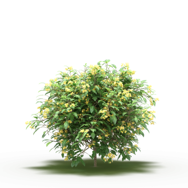 Beyaz arkaplanda izole edilmiş yeşil ağaç, üç boyutlu resimleme