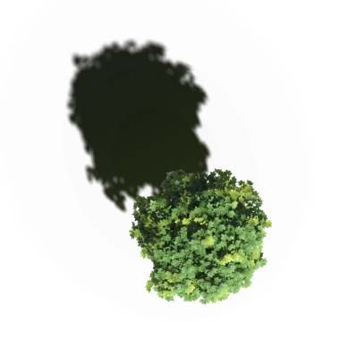 Beyaz arkaplanda gölgesi olan yeşil ağaç, üç boyutlu resimleme