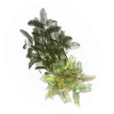 Beyaz arkaplanda gölgesi olan yeşil ağaç, üç boyutlu resimleme