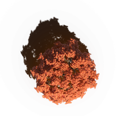 Beyaz arkaplanda gölgesi olan sonbahar ağacı, üç boyutlu resimleme