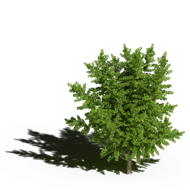 Beyaz arkaplanda gölgesi olan yeşil ağaç, üç boyutlu resimleme