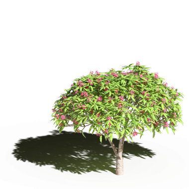 Beyaz arkaplanda gölgesi olan yeşil ağaç, üç boyutlu resimleme