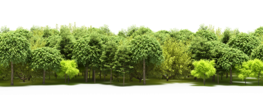 Yeşil orman, gerçekçi 3D görüntüleme beyaz arka planda izole