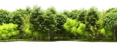 Yeşil orman, gerçekçi 3D görüntüleme beyaz arka planda izole