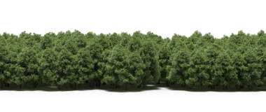 Yeşil orman, gerçekçi 3D görüntüleme beyaz arka planda izole