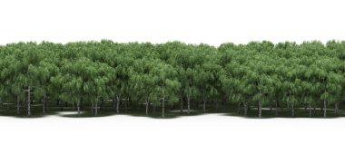 Yeşil orman, gerçekçi 3D görüntüleme beyaz arka planda izole