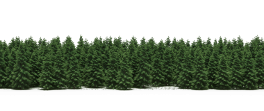 Yeşil orman, gerçekçi 3D görüntüleme beyaz arka planda izole