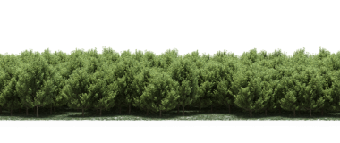 Yeşil orman, gerçekçi 3D görüntüleme beyaz arka planda izole