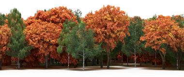 Yeşil ve sarı ağaçlı sonbahar ormanı, beyaz arka planda izole edilmiş 3D gerçekçi.