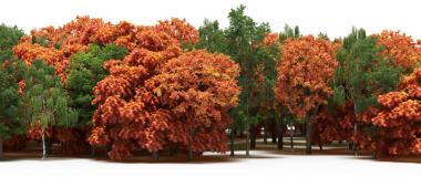 Yeşil ve sarı ağaçlı sonbahar ormanı, beyaz arka planda izole edilmiş 3D gerçekçi.