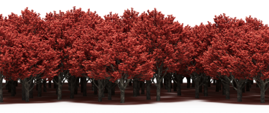 Sonbahar ormanı, gerçekçi 3D görüntüleme beyaz arka planda izole