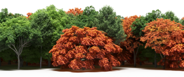 Yeşil ve sarı ağaçlı sonbahar ormanı, beyaz arka planda izole edilmiş 3D gerçekçi.