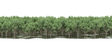 Yeşil orman, gerçekçi 3D görüntüleme beyaz arka planda izole