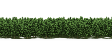 Yeşil orman, gerçekçi 3D görüntüleme beyaz arka planda izole