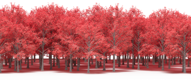 Sonbahar ormanı, gerçekçi 3D görüntüleme beyaz arka planda izole