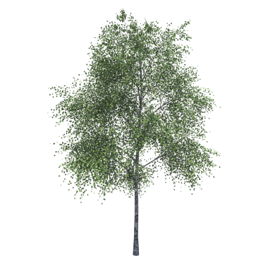 Beyaz arkaplanda izole edilmiş yeşil ağaç, üç boyutlu resimleme