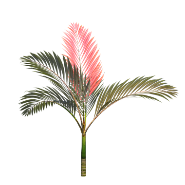 Beyaz arkaplanda izole edilmiş yeşil palmiye ağacı, üç boyutlu resimleme