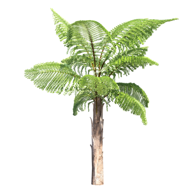 Beyaz arkaplanda izole edilmiş yeşil palmiye ağacı, üç boyutlu resimleme