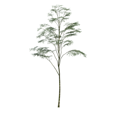 Beyaz arkaplanda izole edilmiş yeşil ağaç, üç boyutlu resimleme