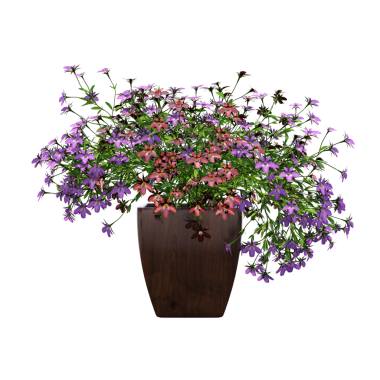 Beyaz arka planda izole edilmiş parlak çiçekli saksı bitkilerinin 3D görüntülenmesi