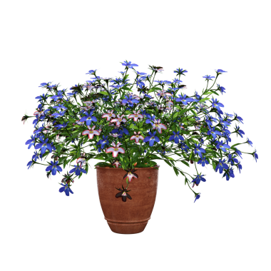 Beyaz arka planda izole edilmiş parlak çiçekli saksı bitkilerinin 3D görüntülenmesi