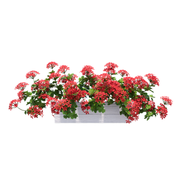 Beyaz arka planda izole edilmiş parlak çiçekli saksı bitkilerinin 3D görüntülenmesi