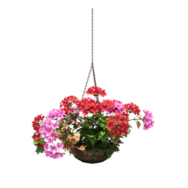 Beyaz arka planda izole edilmiş parlak çiçekli saksı bitkilerinin 3D görüntülenmesi