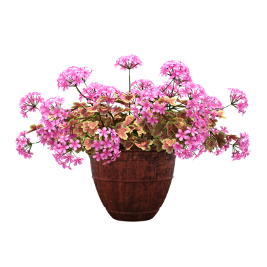 Beyaz arka planda izole edilmiş parlak çiçekli saksı bitkilerinin 3D görüntülenmesi